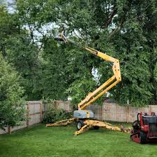 Best Tree and Shrub Care  in Wood Ridge, NJ