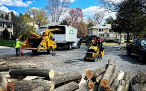 Best Sod Installation  in Wood Ridge, NJ