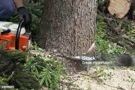 Best Soil Testing and Treatment  in Wood Ridge, NJ