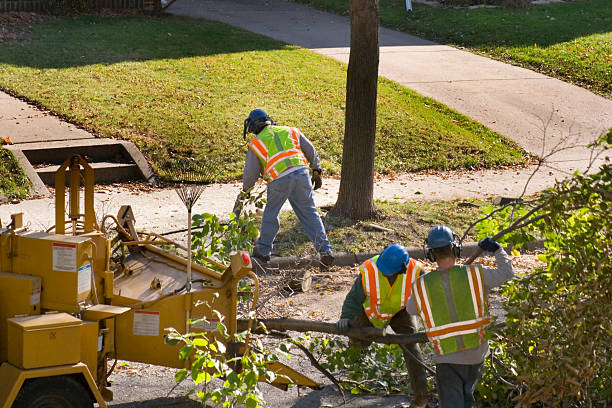 Best Lawn Watering Services  in Wood Ridge, NJ