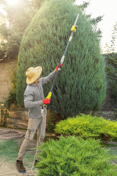 Best Lawn Grading and Leveling  in Wood Ridge, NJ